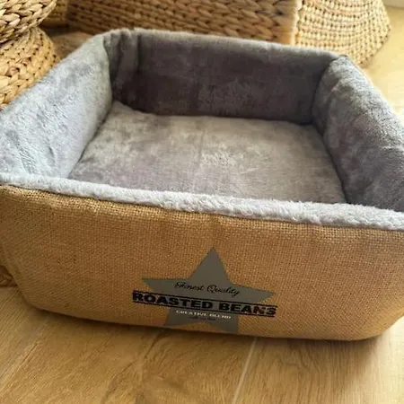 Vicino Al Centro E Politecnico * Turin